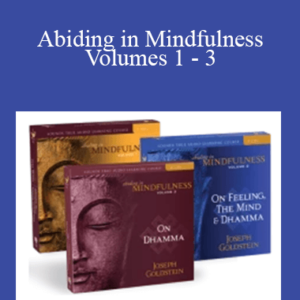 Joseph Goldstein – Abiding in Mindfulness Volumes 1 – 3