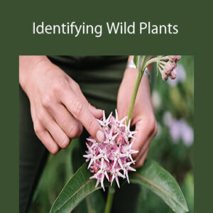 Kat Mackinnon and Briana Wiles – Identifying Wild Plants