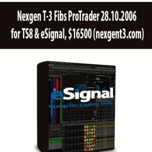 Nexgen T-3 Fibs ProTrader 28.10.2006 for TS8 & eSignal (nexgent3.com)