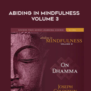 Joseph Goldstein – ABIDING IN MINDFULNESS VOLUME 3
